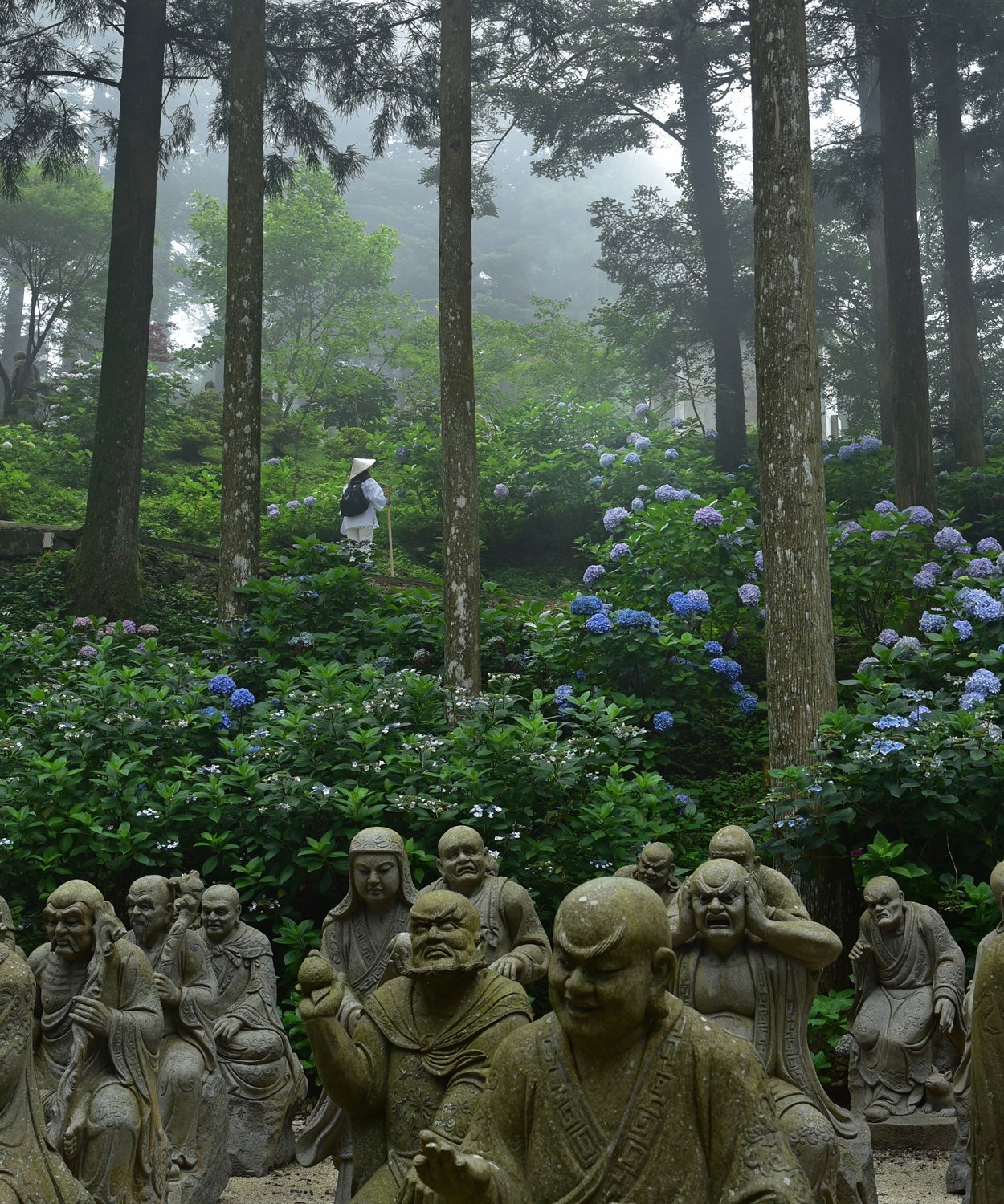 🏯 시코쿠 순례길 제66번 사찰 운펜지 이미지 3